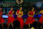 Zabyn Khan Spicy Stills - 86 of 330