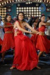 Zabyn Khan Spicy Stills - 134 of 330