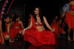 Zabyn Khan Spicy Stills - 138 of 330