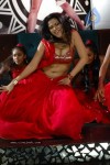 Zabyn Khan Spicy Stills - 172 of 330
