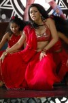 Zabyn Khan Spicy Stills - 174 of 330