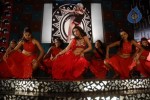 Zabyn Khan Spicy Stills - 194 of 330