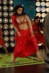 Zabyn Khan Spicy Stills - 197 of 330