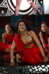 Zabyn Khan Spicy Stills - 294 of 330