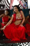 Zabyn Khan Spicy Stills - 315 of 330