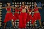 Zabyn Khan Spicy Stills - 319 of 330