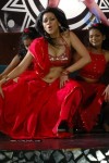 Zabyn Khan Spicy Stills - 321 of 330