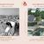 Annapurna StudiosCelebrating Five Decades of Cinematic Excellence