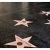 Actors pay for Hollywood Walk of Fame star
