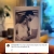 Katrina and Vicky Kaushal announce pregnancy