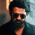 Prabhas intense action in Spirit