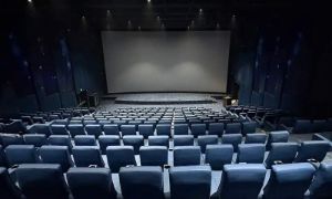 Movie lovers cheated with dubbed films ticket hikes