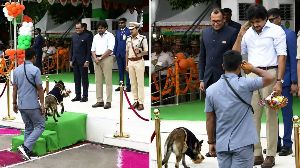 Pawan Kalyan Candid Moment With Dog