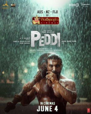 Peddi North America pre sales reaching stars