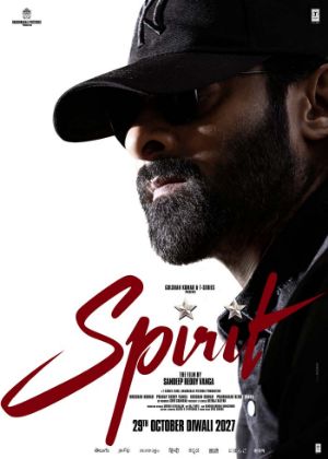 Spirit targeted for a reason