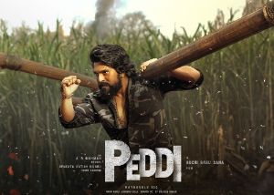Exciting update on Peddi