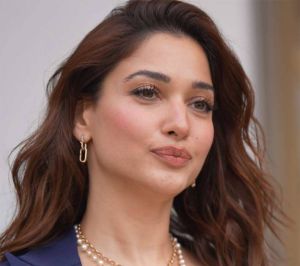 Tamannaah on Bollywood vs South