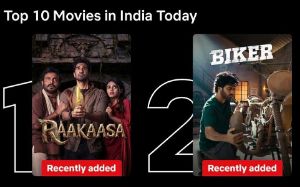 Biker and Raakaasa Shine on Netflix