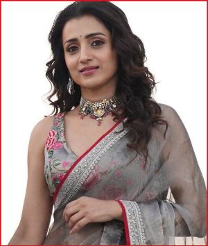 Trisha Cryptic Post Fuels Vijay Dating Talk Again