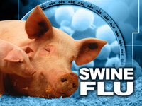 One more swine flu case in city