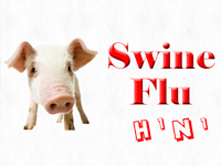 City reports six more swine flu cases