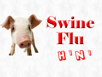 No need to panic on swine flu: Danam