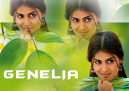 Genelia’s next Bollywood venture