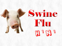 3 more swine flu deaths recorded in Hyd...