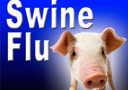 swine flu deaths in India, toll raises to 300