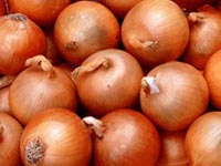 Prices of onions  set to  dip