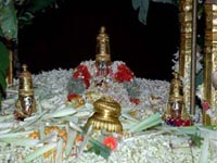 TTD performs Pushpa Yagam