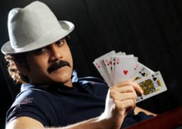 Nagarjuna’s “Rummy” changed to “Kedi” (First on Net)