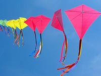Kite-flying turns a damp squib