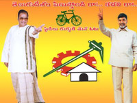 TDP activists stage dharna 
