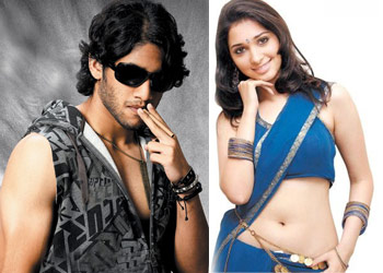 Tamannah-Chaitanya chemistry 