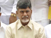 We didn't pursue by-polls seriously: Naidu