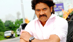 Will Nag do Balayya's act?