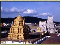 Fake Sree Vari Laddus in Tirumala 