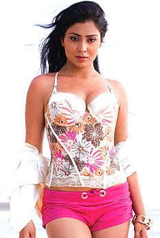 Sexy Shriya missing the spice of BF 