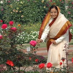 Rashtrapati Nilayam gets new herbal garden