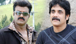 Balayya keeps condition for Nagarjuna