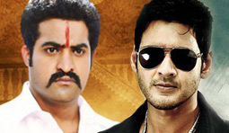 Mahesh to give a Jhalak for NTR!?