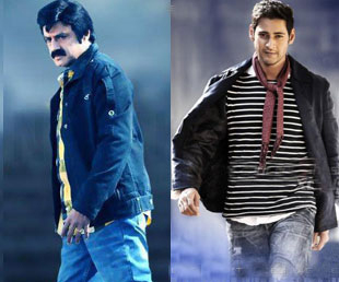 Balayya and Mahesh Prefer Teaching