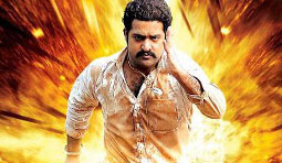 Who cares on 'Dammu' Reviews!?