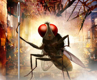 Tollywood's Insectomania