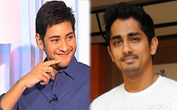 Siddharth Bigger Than Mahesh