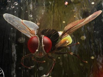 eega 09th naveen