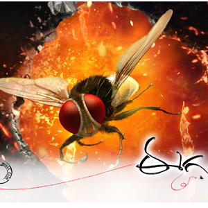 Big Shock to Rajamouli's 'Eega'