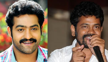 Ntr to Work with Sukumar?