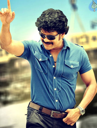 Biggest Openings for Nagarjuna